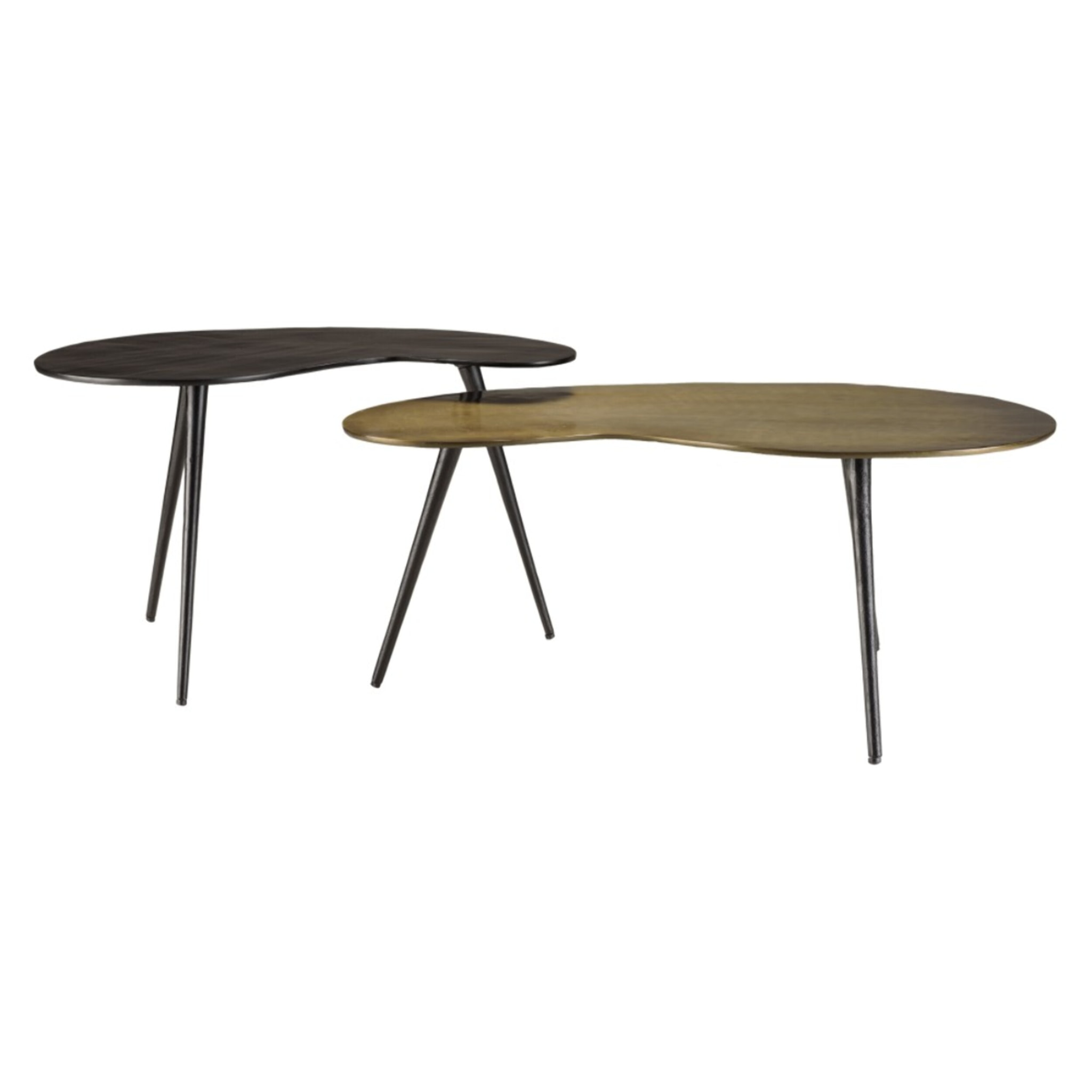 JAMES - Set de 2 tables basses ovoïdes en aluminium noir mat et doré