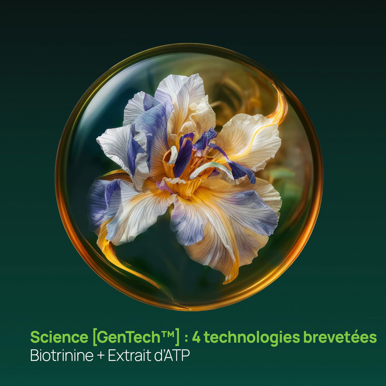 Triphasic - Traitement Progressive Antichute Longévité & Densité