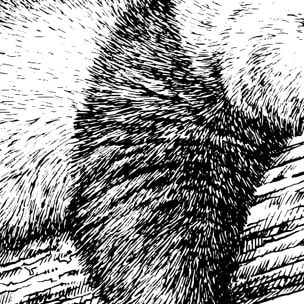 Affiche enfant repos du guerrier Affiche + cadre en bois - Noir