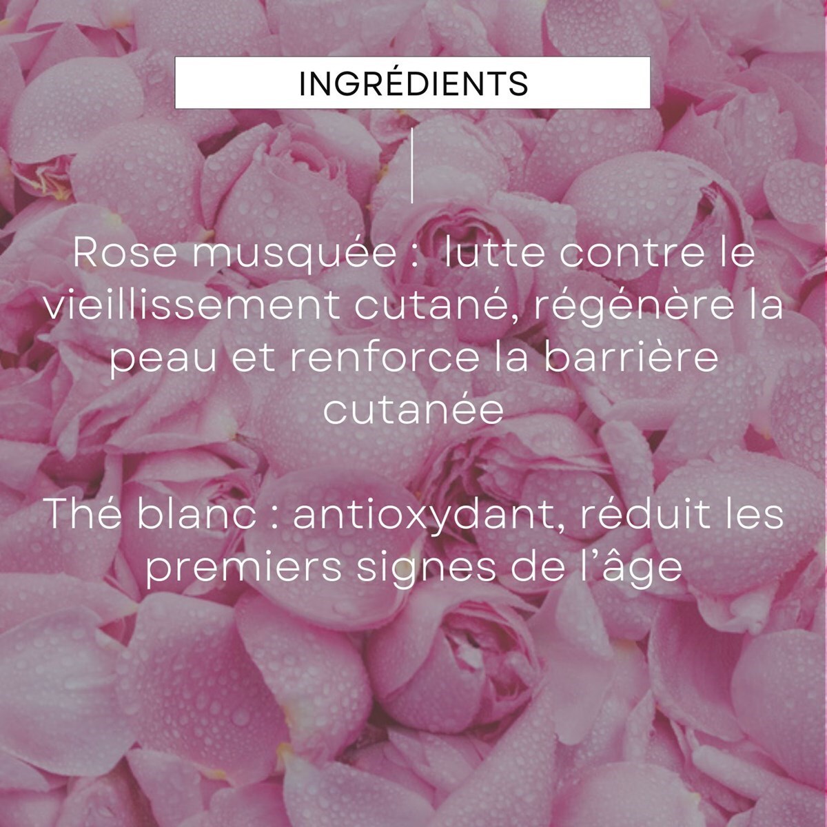 WELEDA - Lot Fluide lissant Rose musquée & Thé blanc et Contour des yeux
