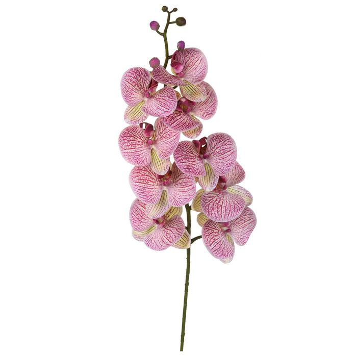 Phalenopsis Con 9 Fiori. Altezza 110 Cm - Pezzi 2 - 15X110X7cm - Colore: Viola - Bianchi Dino - Fiori Artificiali