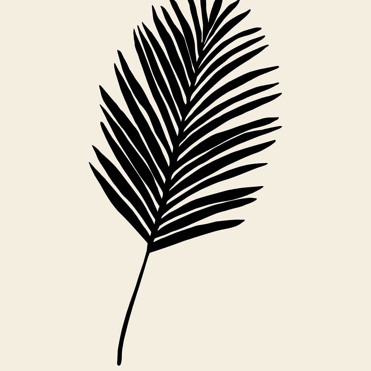 Tableau black palm Tableau alu Dibond