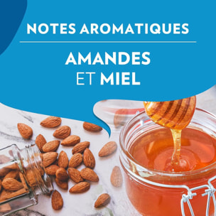 Grains decaf CLASSICO 500g