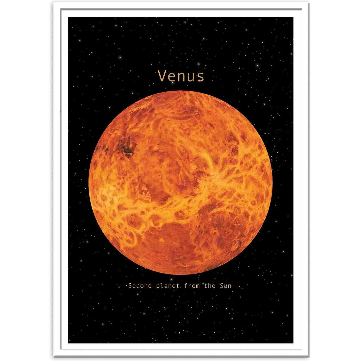 Affiche - Venus - Terry Fan