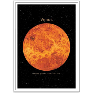 Affiche - Venus - Terry Fan