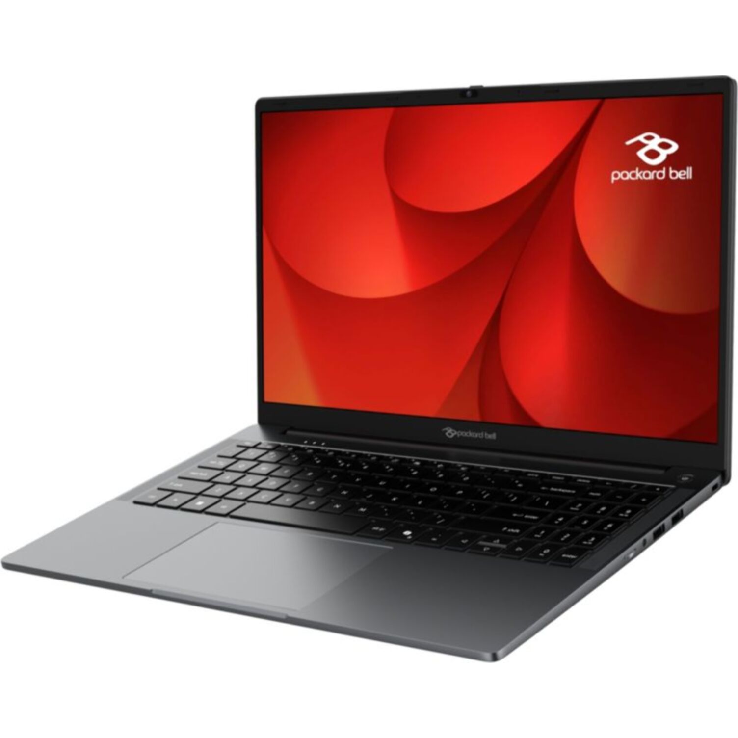 Ordinateur portable PACKARD BELL PB15-32P-C3NN