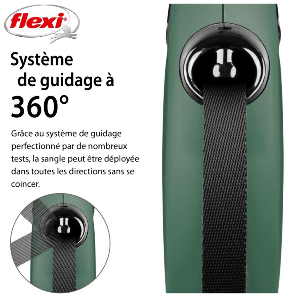Laisse New Classic S Tape 5 m Olive green Flexi CL10T5-251-O-20