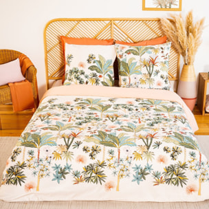 Parure housse de couette coton bci adouci 57 fils mig - mentissa