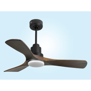 Ventilateur de plafond Réversible  Thermostat Dimmable Wifi Moteur à courant continu Toits en pente Télécommande Lumière à trois tons Hypersilence Mémoire