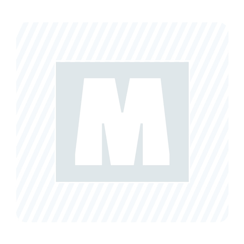 Paumelle mâle HB130 - Réglable - Droite - Zingué argent - Lame centrée - M-789271