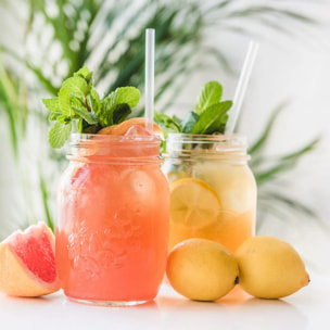 Ensemble de 2 Goupillons de nettoyage pour paille Fackelmann Bar Concept