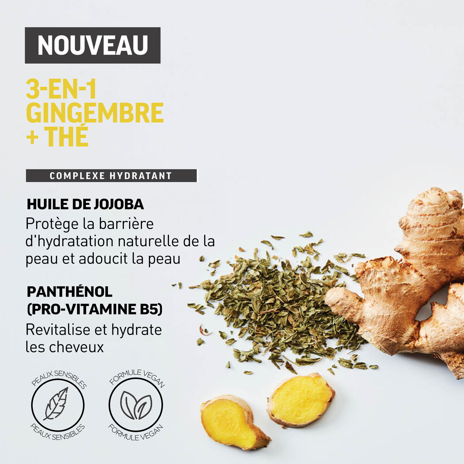 3-en-1 Gingembre Thé - Shampooing 3en1 Revitalisant et Hydratant 450 ml