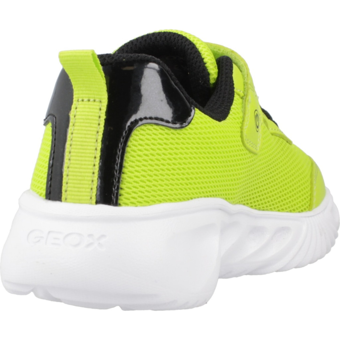 Zapatillas Niño de la marca GEOX  modelo J ASSISTER BOY Green