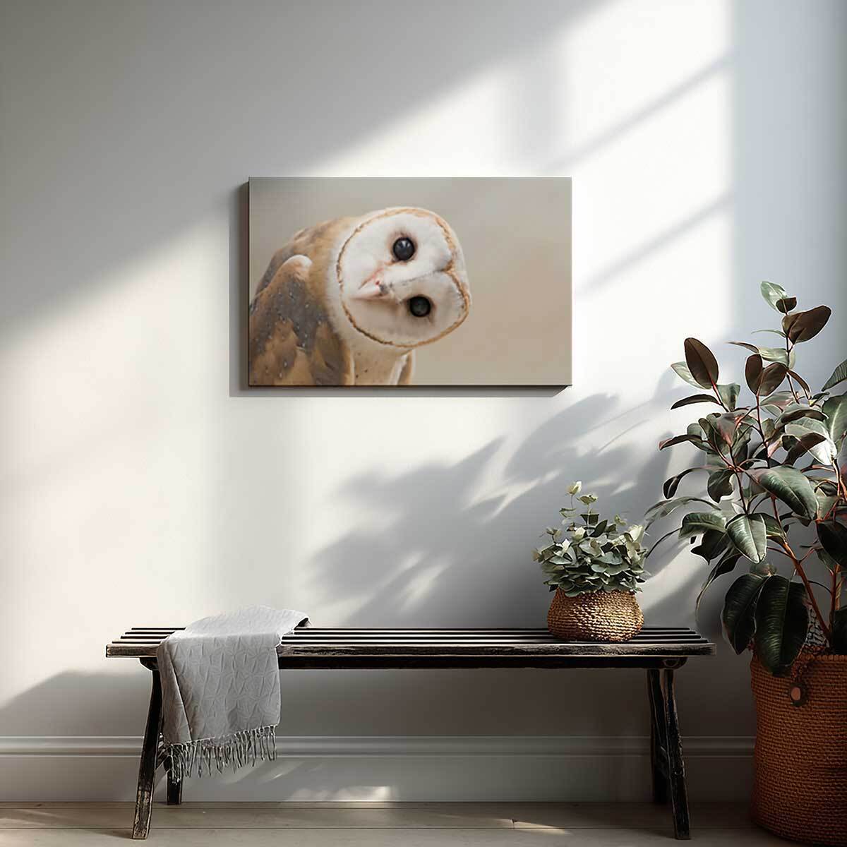 Tableau hibou élégant au regard intense Toile imprimée