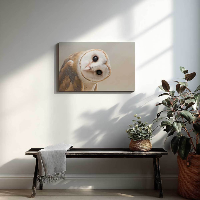Tableau hibou élégant au regard intense Toile imprimée
