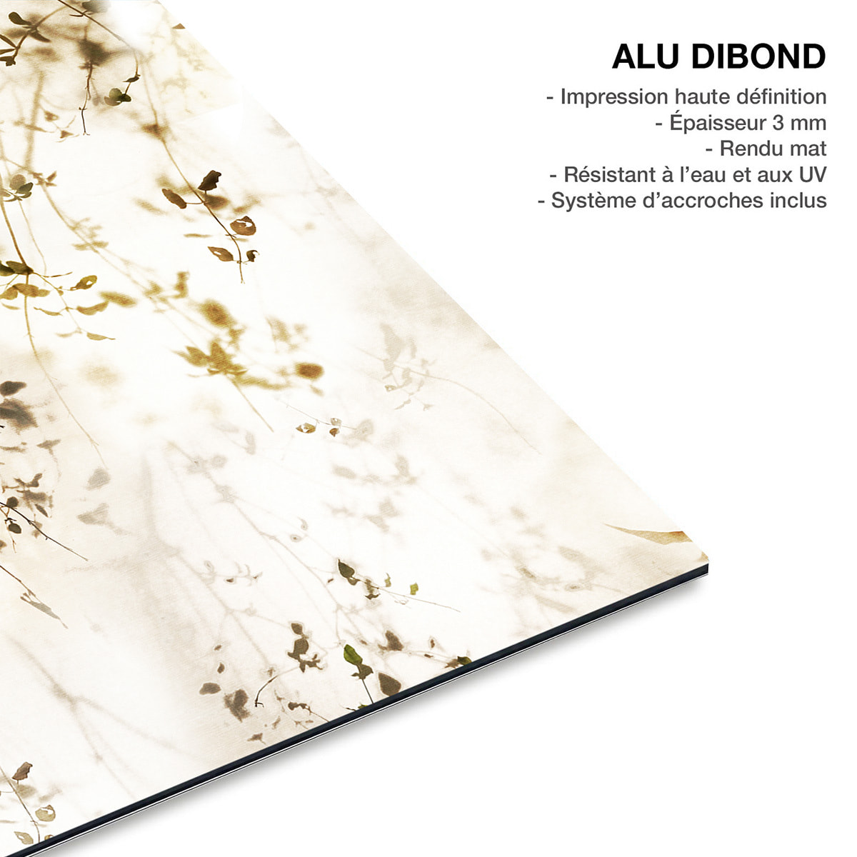 Tableau de fleurs séchées Feuillage Tableau alu Dibond