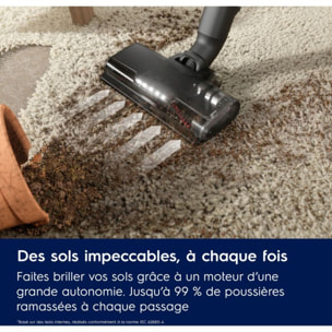 Aspirateur balai ELECTROLUX EP61CB21D2