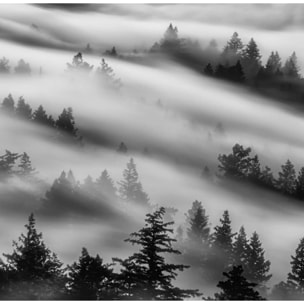 Papier peint brume du matin Intissé