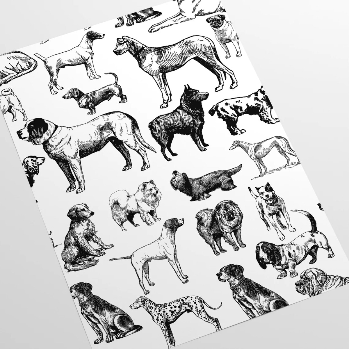 Carta da Parati Cani Bianchi e Neri