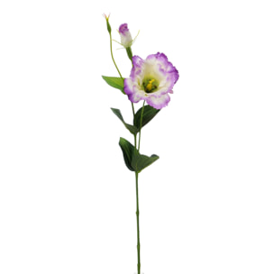 Lisianthus Composto Da 2 Fiori. Altezza 60 Cm - Pezzi 12 - 11,2X60X7,5cm - Colore: Altro - Bianchi Dino - Fiori Artificiali