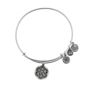 Pulsera Alex And Ani Mujer A16EBEKRS