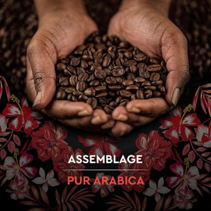 Grains Honduras Bio 500G