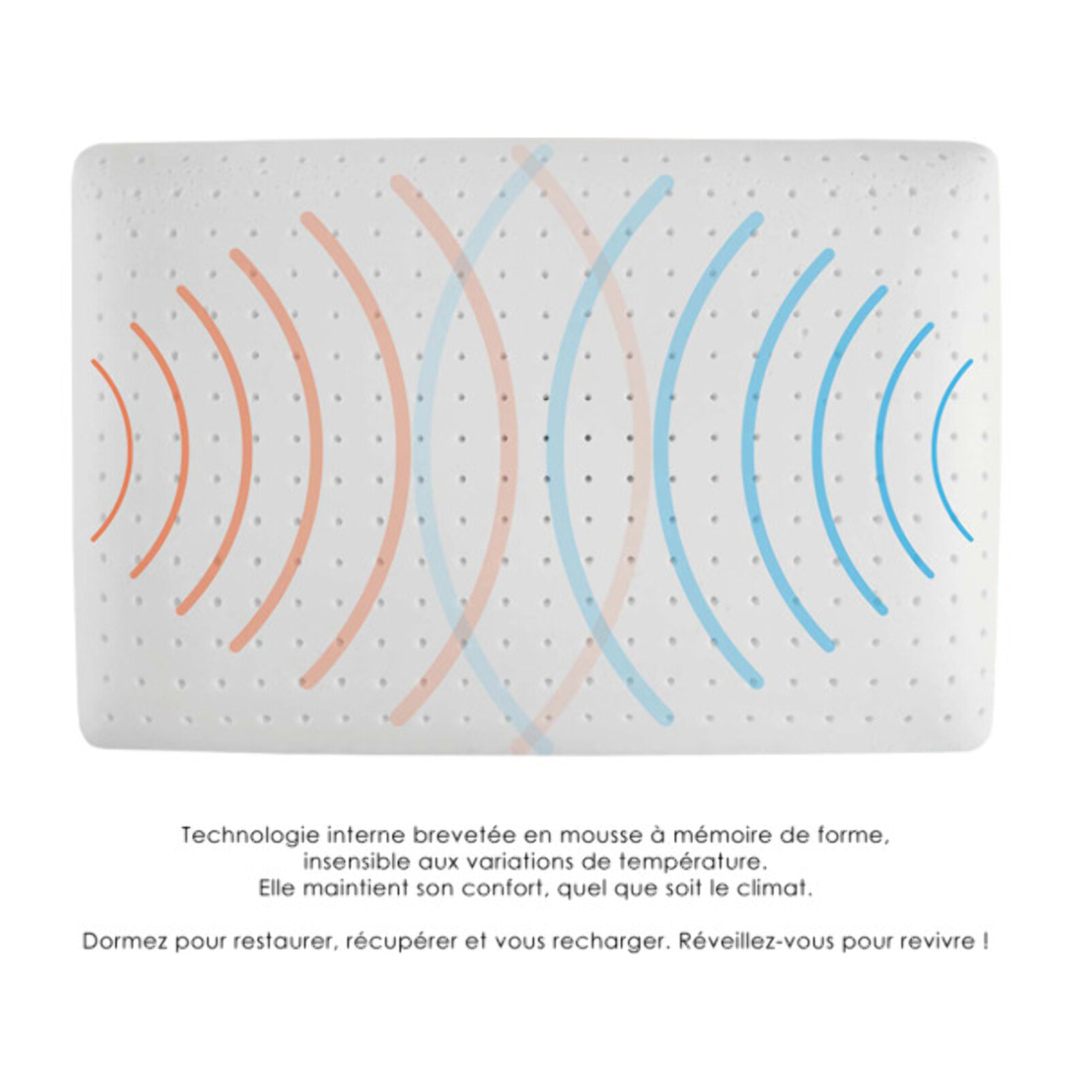 Oreiller 60x40 cm avec mousse à mémoire et régulation d'humidité - REVIVE