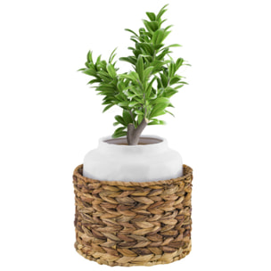 Vaso con rattan Sirenuse