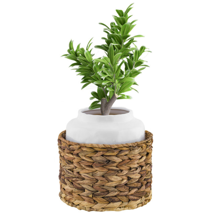 Vaso con rattan Sirenuse