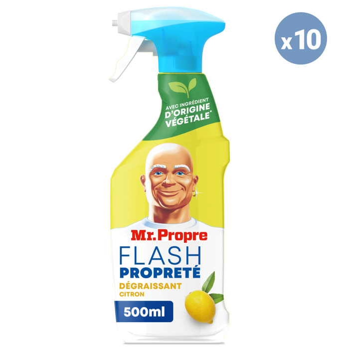 10 Sprays Nettoyants Citrons D'Été 500ml, Mr. Propre