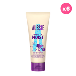 6 Après-Shampoings Miracle Moist 200ml, Aussie