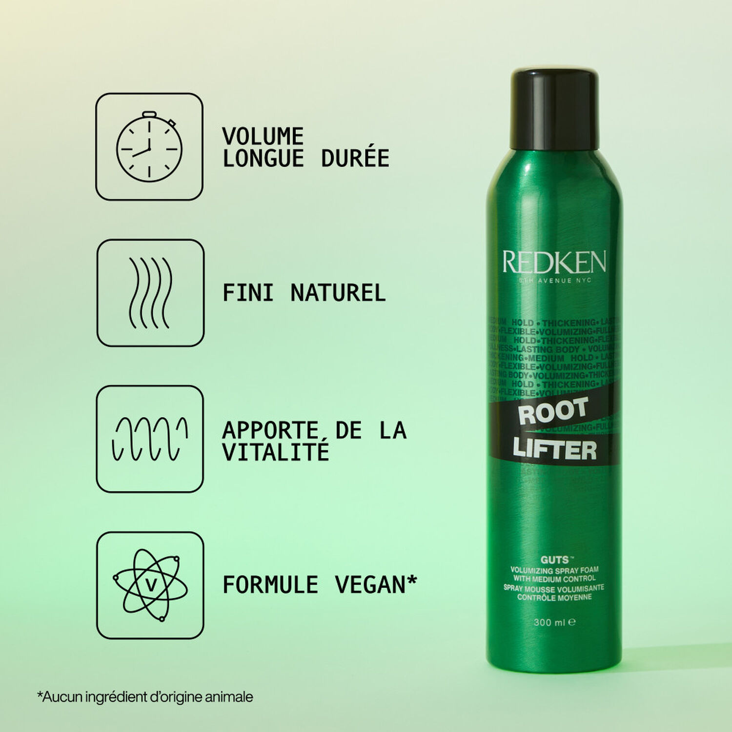 Styling Volume - Spray Moussant Volume