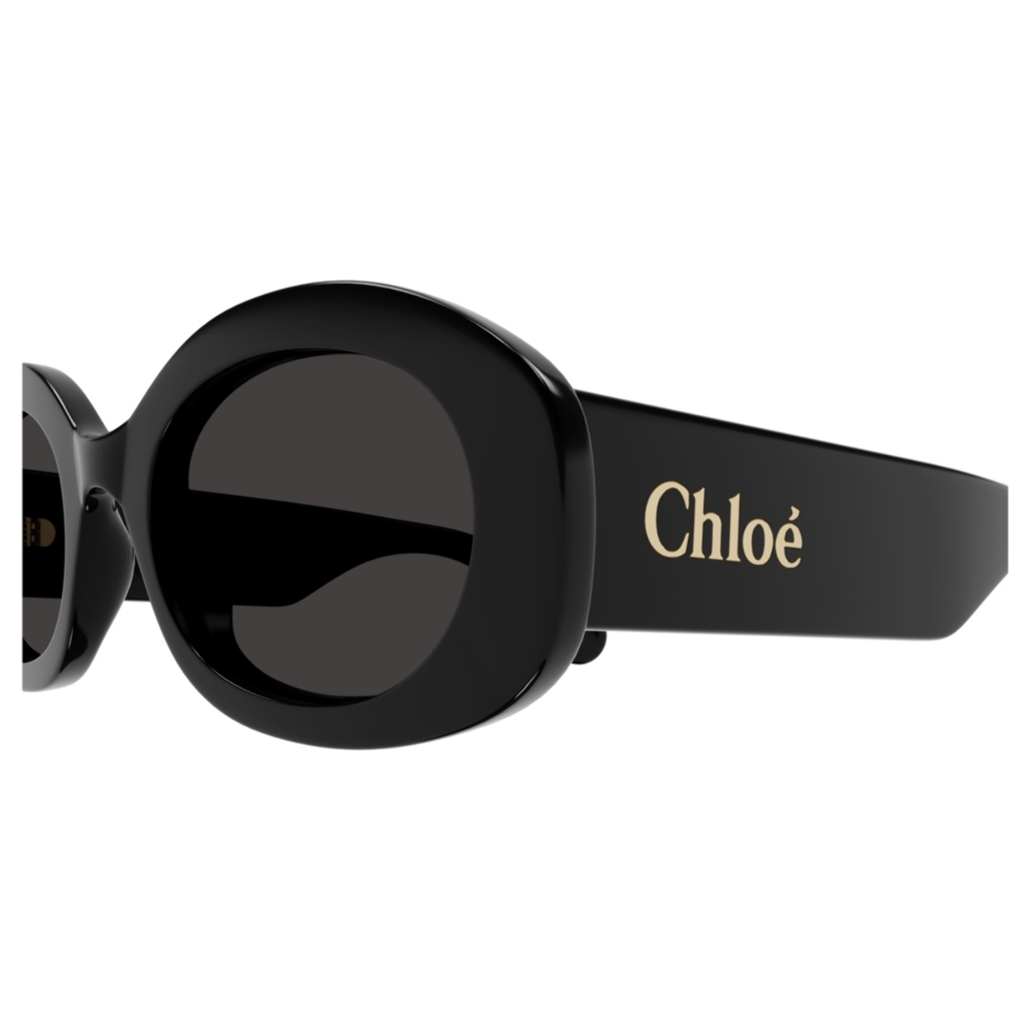 Gafas de Sol Chloé CH0258S-001 de Acetato Mujer 53 mm