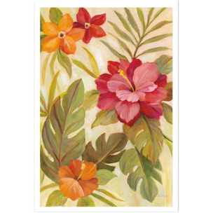 Poster Fleurs corail Affiche seule