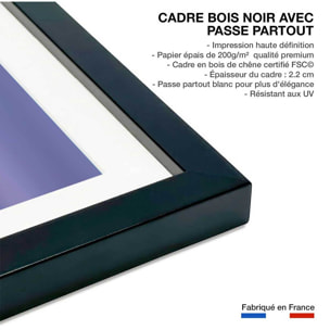Affiche Flamants Tôt le matin Affiche sous cadre noir
