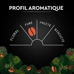 Café Grains Bio Intense - Pur Arabica Biologique. Paquet de 1 kg