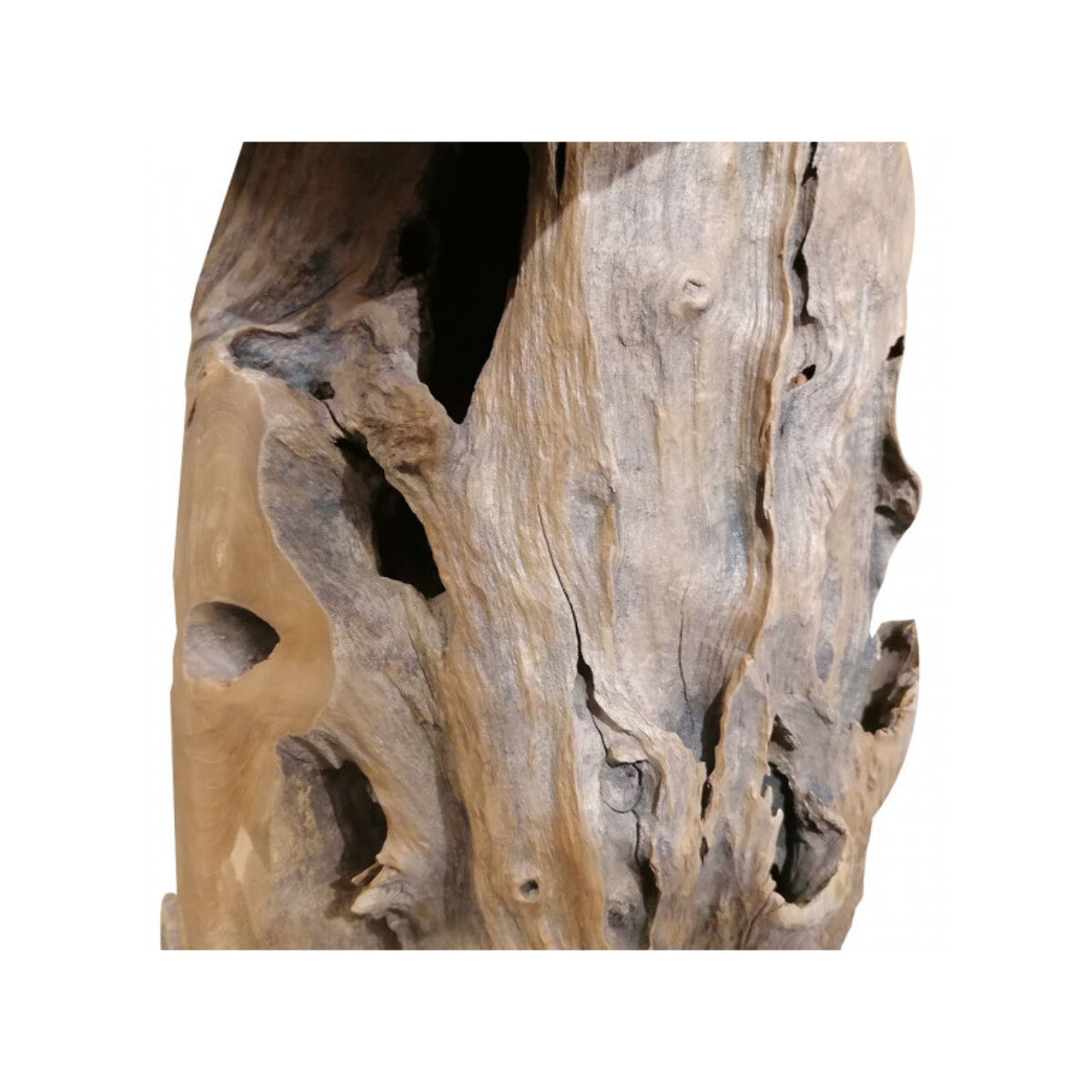 Tabouret en bois de teck avec piètement racine - BRUL