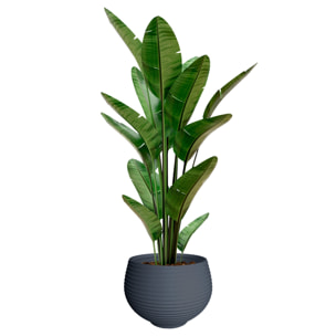 Maceta "zafira" ghisa