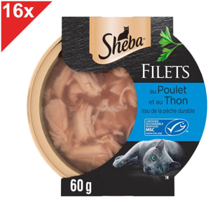 SHEBA Dômes au Poulet et au Thon MSC (16x60g)