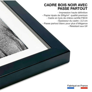 Affiche animaux Peau d'éléphant Affiche + cadre en bois - Noir