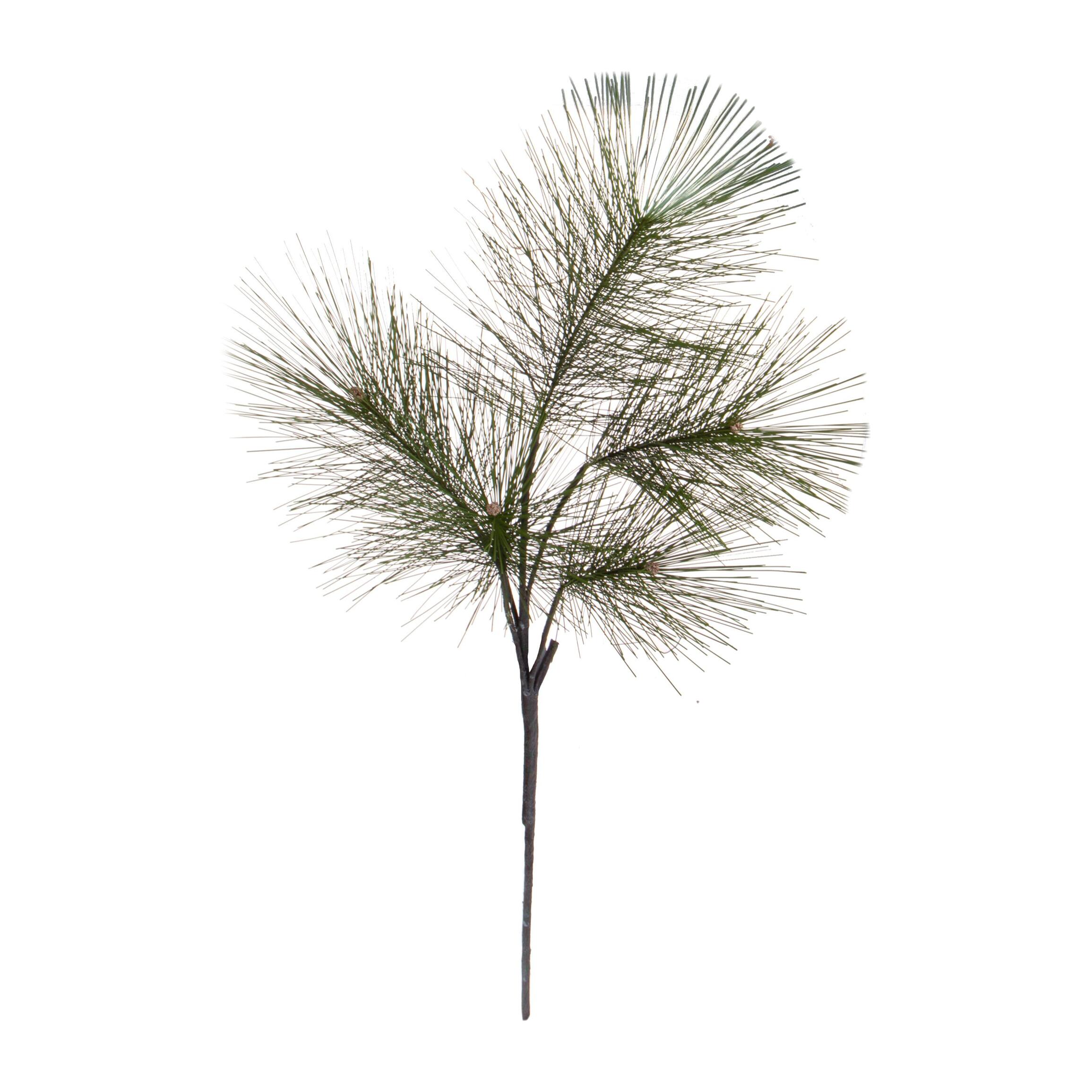 Ramo pino per - Pezzi 6 - 18xH103x17cm - Bianchi Dino SpA