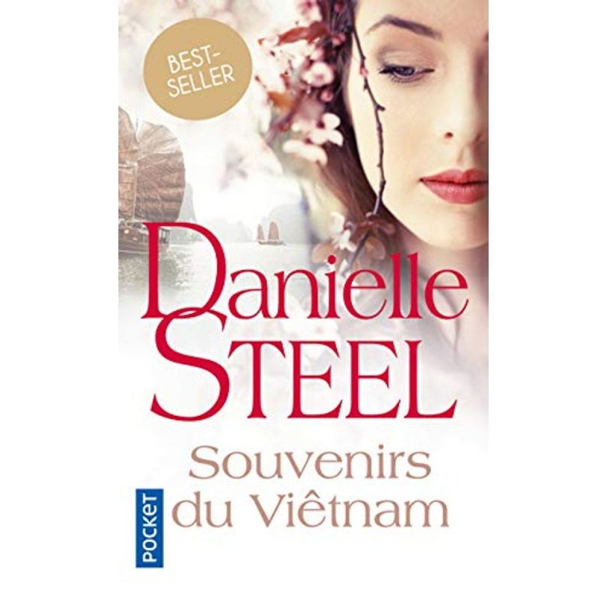 Steel, Danielle | Souvenirs du Vietnam | Livre d'occasion