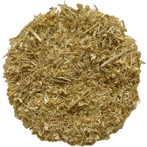 Camomille - Infusion Bio - Infusettes 15x1,2g