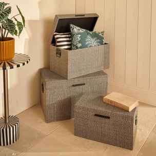 Lot de 3 malles Reso gris