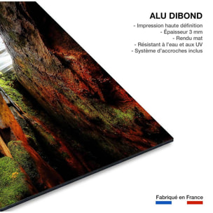 Tableau nature chute d'eau Tableau alu Dibond