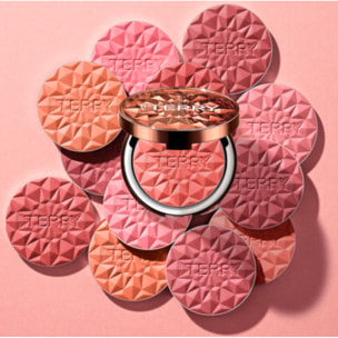 Tea To Tan - Blush en Poudre