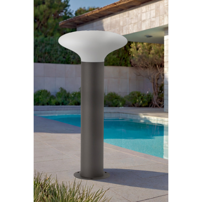 BLUBS 540 Sobremuro gris oscuro