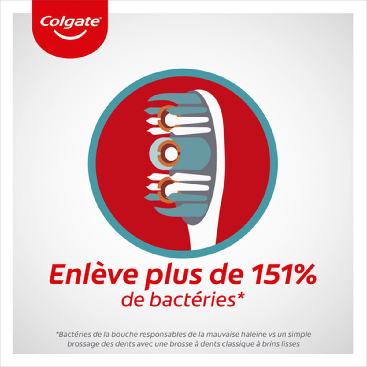 Pack de 12 - Colgate - Brosse à dents 360° Souple