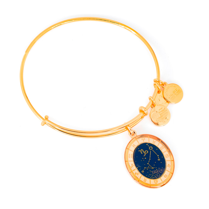 Pulsera Alex And Ani Mujer A15EB61YG