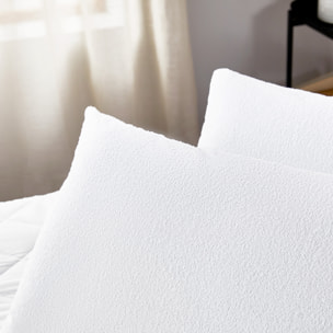 Funda de Almohada | Dermoportectora Aloe Vera | Antialérgica | Impermeable | Ideal para pieles sensibles